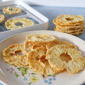 High Quality Dried Pineapple Slices Naturally Sweet Tropical Fruit Snack With Excellent Taste Ideal For Retail Stores - EAST LAND PROPERTIES - Tanzania