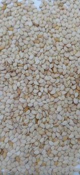 Sesame Seeds Product Type Beverages, Cereal, Legumes, Oils, Oils & Fats, Spices - Oitec and Sons International Limited  - Nigeria