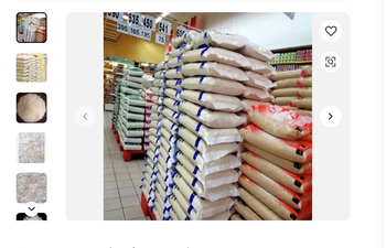 Premium Indian Basmati Rice | Farm Fresh Export Quality | 10kg, 20kg & 50kg Bulk Packaging - FK GLOBAL TRADING - Netherlands