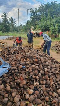 COCONUT SHELLS from Salespickbyn COCONUT SHELLS - Salespickbyn - Tanzania