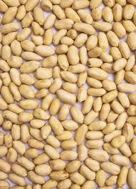 Roasted peanuts from Delta Export Roasted peanuts - Delta Export - India