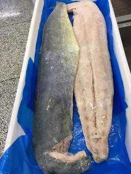 Frozen Mahi Mahi Fish Skin On IQF Processed Seafood For International Buyers Foodservice And Retail Distribution - TOSOH INTERNATIONAL - South Africa