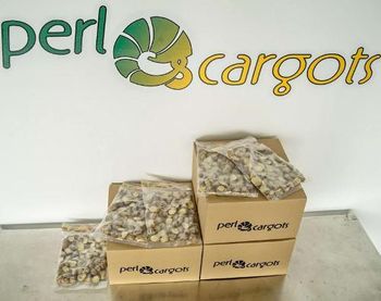 Burgundy snails Color Burgundy Storage Temperature –18 °c Preparation Method Ready For Direct Consumption. Heat In A Preheated Oven At 180 °c For 8/10 Minutes. Serve - PERLESCARGOTS LTD - Bulgaria