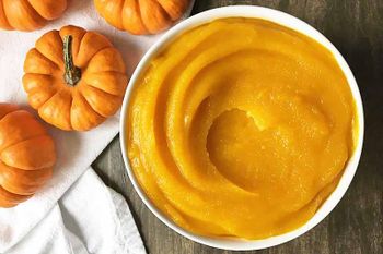 Puree pumpkin - Freeze Dried Fruit LTD - Uzbekistan