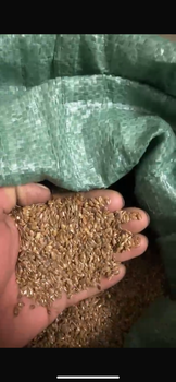 brown flax seed - Nomad RK - Kazakhstan
