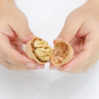 New Crop Harvest Walnut/Walnut in Shell / Walnut Kernel Origin China Area Xinjiang Processing Raw HS Code 0802320000 Trademark SHENG MENG - Hebei ShengMeng Foodstuff Co., Ltd - China