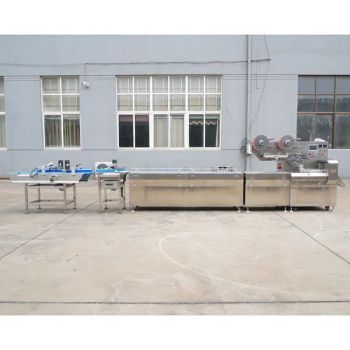 Automatic Nougat Packing Machine Full Automatic Feeding Pillow Wrapping Machine - Dongtai Chaoyang Food Machinery Co., Ltd. - China
