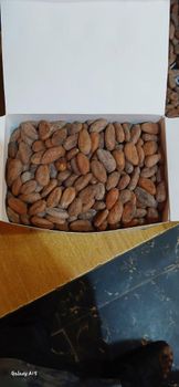 Cocoa Beans - Zenith Homes and properties limited - Nigeria