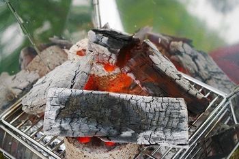 High Quality Lump Mangrove Hardwood Charcoal - TP IMEX CO.,LTD - Vietnam