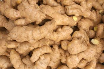 Buy Ginger Online from a Trusted International Supplier Form Ground, Whole Delivery Form Bag, Sacks Freshness Level Dried, Fresh - Global Agro Wholesale - Germany