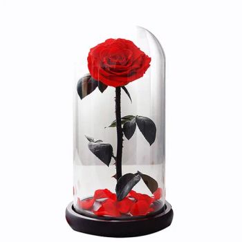 Preserved Rose Flower Customized Colors Preserved Flowers Plants Forever Stabilized Eternal Roses in Glass Dome - Guangzhou Konda Import & Export Co., Ltd - China