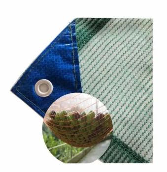 Mono 100GSM Metal Eyelets Olive Net for Collecting and Harvest Netting Olive Green Rectangular Mosquito Nets - Shandong Jiacheng Chemical Fiber Products Co., Ltd. - China