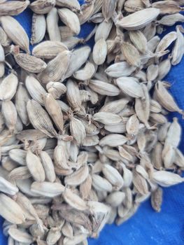 Cardamon from IJAD AGRO BUSINESS Cardamon - IJAD AGRO BUSINESS - Tanzania