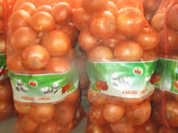 xport Grade Red & Yellow Onions with White Garlic – Competitive Pricing - FK GLOBAL TRADING - Netherlands