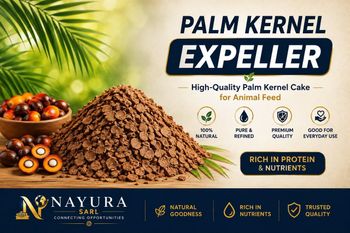 Palm Kernel Expeller - NATURA SARL - Benin