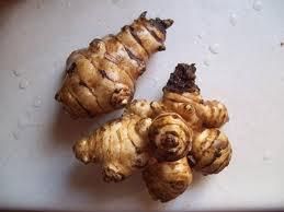 Topinambur Sunroot Sunchoke Grade FOOD Form FRESH Texture Knobby Flavor Nutty, Sweet Type FRESH VEGETABLE Shelf Life 5-10 DAYS - ADEPT IMPEX PVT LTD - India