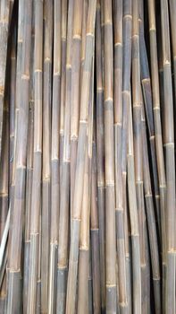 Bamboo Bona Price Per Meter 1.2 Primary Use Construction And Furniture Production Capacity 5,000-6,000 - Cimba Bali Exportindo - Indonesia