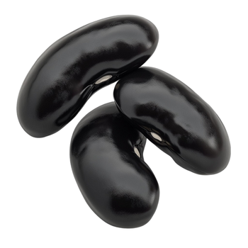 Premium Grade Non-GMO Black Kidney Beans Vacuum Pack Newest Year Crop-Wholesale for Bulk Buyers - TRADECENTRIC LLC - United States