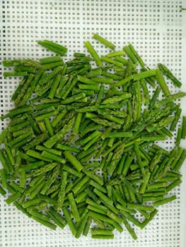 IQF Frozen Vegetables Green Asparagus Tip and Cuts - Ruiqiu Foods Co., Ltd. - China