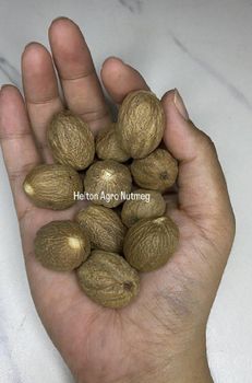 Whole Nutmeg (Grade ABCD) – product photo, Whole Nutmeg Seeds products found from trusted suppliers, wholesalers, manufacturers & exporters Listing