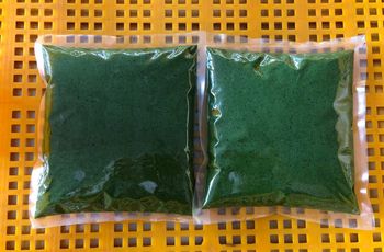Frozen grated cassava leave Packaging PA/PE Place of Origin Vietnam Storage Temperature -18°c Freezing Temperature -30°c - Công ty TNHH Thương Mại Xuất Nhập Khẩu Tân Gia Thành - Vietnam