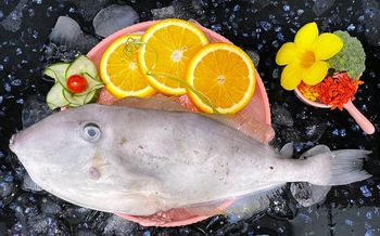 Leather Jacket Fish (Whole,Gutted and Skinless) - Seafood Organic Yes Shelf Life 24 months Price Range $3.3-$6.6 Freshness Level Frozen - Hup Sun Marine Products - Malaysia