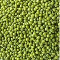 Wholesale Green Mung Beans 50kg Package Mung Bean Brand Custom Shelf Life 2 YEARS - Thai Agri Company - Thailand