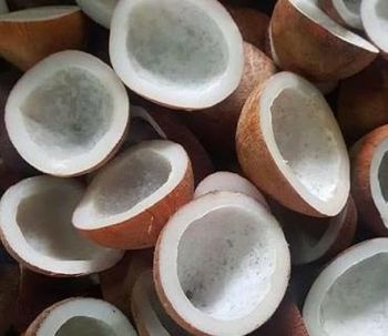 COPRA EDIBLE - PT ERGANTA ABHINAYA GLOBALINDO - Indonesia