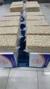 Dried Cashew Nuts WW180, 210, 240 320, 450 For Sale