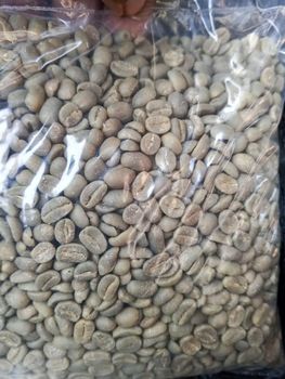 WASHED ARABICA BUGISU AA - SUXID LIMITED - Uganda