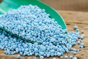 Premium Organic & Chemical Fertilizers NPK Urea DAP Potash Bio Fertilizer Granules Powder for Agriculture Use - AGRONOVA - United States