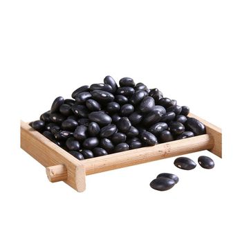 Clean black kidney beans bulk sale high quality pulses wholesale distribution - HIGHPROFILE AGRICULTURE SERVICES LIMITED - Tanzania