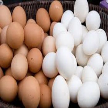 Fresh Chicken White Table Eggs - AGRO AFRIQUE COMPANY LIMITED - Tanzania