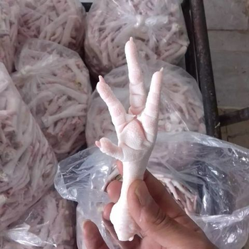 Grade A Brazil frozen chicken feet / frozen chicken feet supplier/buy frozen chicken feet  - AGROPECUARIA ESTRELA LTDA - Brazil