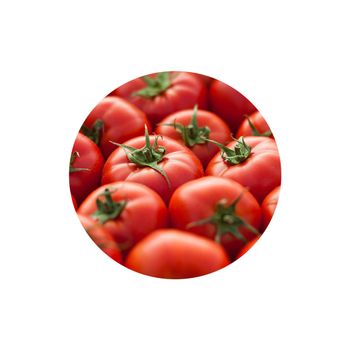 Fresh tomatoes Fast Shipping high Quality tomato from FranceFresh Plum and Cherry Red Tomatoes - Mixa Agro Corp - Canada