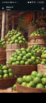 Fresh orange Features Organic Fruit Type Orange - Homert Global Concept - Nigeria