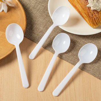Custom Logo Plastic Hot Sale Spoon Knife From 2023 Popular Cutlery Set - Shanghai EGS Industry Co., Ltd. - China