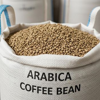 Mountain Farm Harvest Coffee Supply Featuring Arabica Green Coffee Beans With Clean Processing And Export - malter group - Tanzania