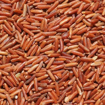 Red Rice Grains in Green Measuring Cup Bulk Grain Container From Orissa for Cooking and Baking - EcoRoma GmbH - Germany