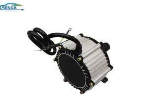 Senka Motors Good Quality 60V 1200W Electric Car Vehicle Brushless DC Geartricycle Motor - Xuzhou Senka Locomotive Co., Ltd. - China