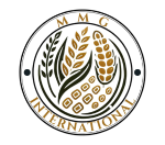 MMG INTERNATIONAL