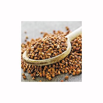 Premium Buckwheat available for bulk purchase wholesale offers affordable rates quick shipping - BMU TRADING GMBH - Germany