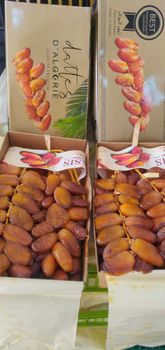 fresh dates deglet nour from sarl mega tech solar fresh dates deglet nour - sarl mega tech solar - Algeria
