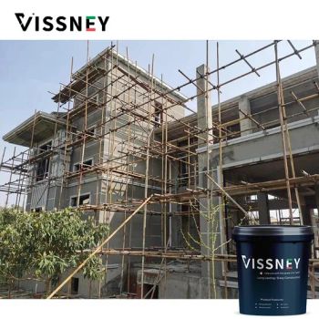Vissney High Performance Anti Crack Mortar for Efficient and Reliable Building Restoration - Foshan Shunde Chaoran Building Materials Industry Co., Ltd. - China