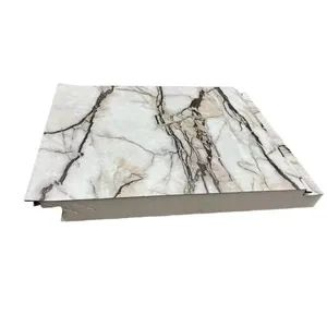 EPS Panel Wall Decorative Foam Insulation Panels Foam Sandwich Panel for Cold Room - Haining Haohan Import and Export Co., Ltd. - China