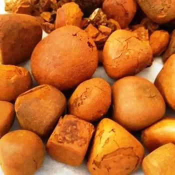 High Quality 80/20 Cow/Ox Cattle Gallstones Yellow Broken Sheep Powder Deer/Venom/Beef Source White Bag for Sale WHATSAP +255787979235 - AL JABLI TRADING COMPANY LIMITED - Tanzania