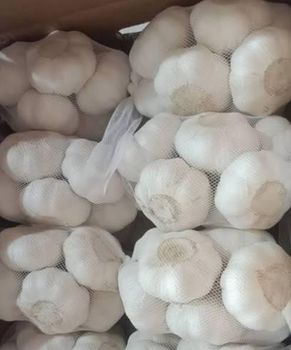 Vegetables – product photo, Mixed Fresh Vegetables products found from trusted suppliers, wholesalers, manufacturers & exporters Listing