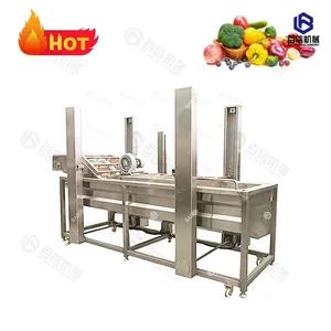 Industrial Fruit and Vegetable Washer Carrot Ginger Vegetable Washing Processing Line - Henan Baixin Machinery Equipment Co., Ltd. - China