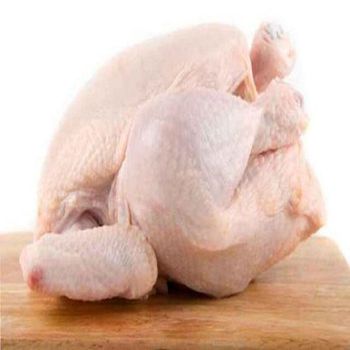 Thailand Frozen Chicken feet sale Global export Chicken Paws Frozen Chicken feet and Paws - TREVEX INTER CO.,LTD - Thailand