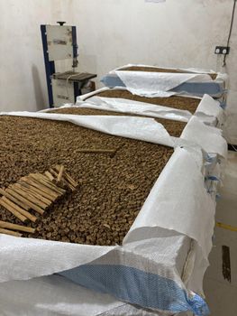 Ceylon cinnamon Quills - Uzesty Naturals Private Limited - Sri Lanka